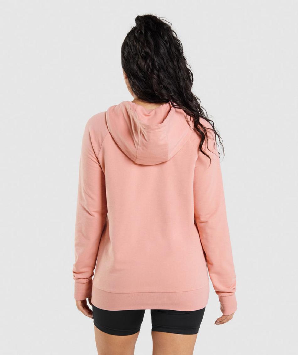 Sudadera Con Capucha Gymshark Entrenamiento Mujer Rosas | CO 2007LIS